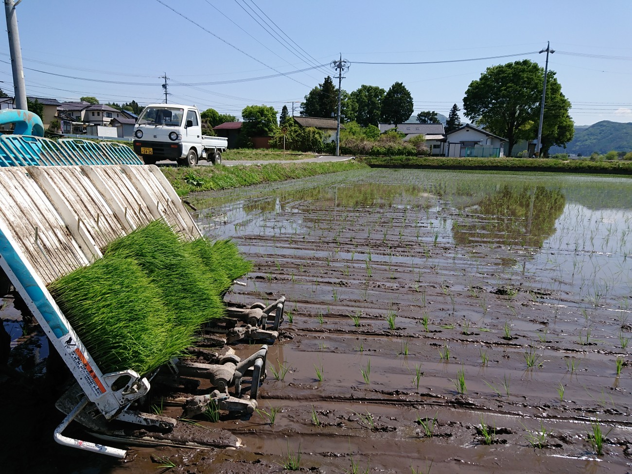 酒米・美山錦の田植え