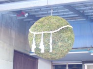 間もなく新酒